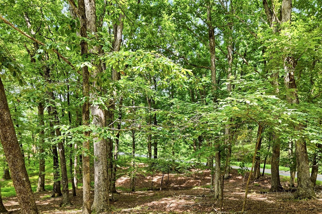 35 Quail Walk Property Photo 39