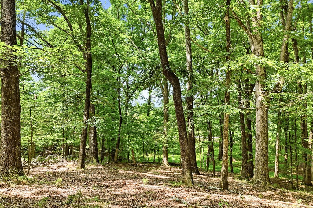 35 Quail Walk Property Photo 42