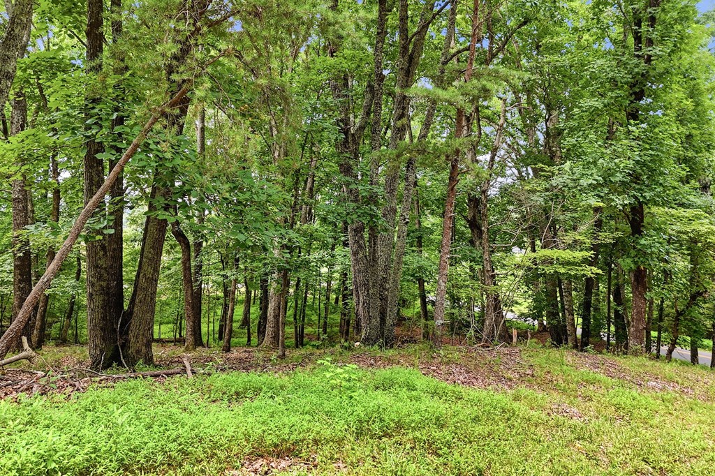 35 Quail Walk Property Photo 43