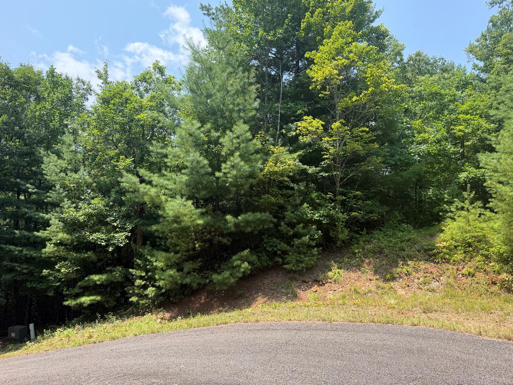 0 Whisper Ridge Court Property Photo 1