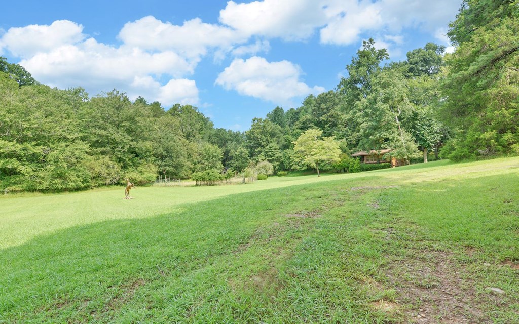 475 Rivercane Road Property Photo 45