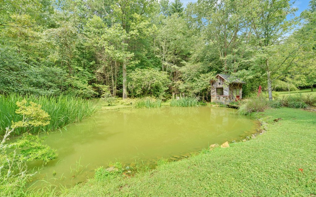 475 Rivercane Road Property Photo 49