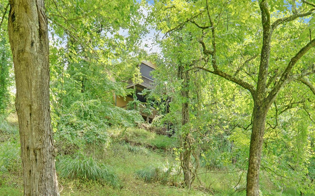 475 Rivercane Road Property Photo 54