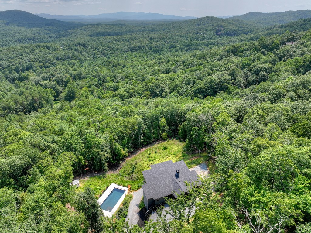 100 Boundless Trail Property Photo 65