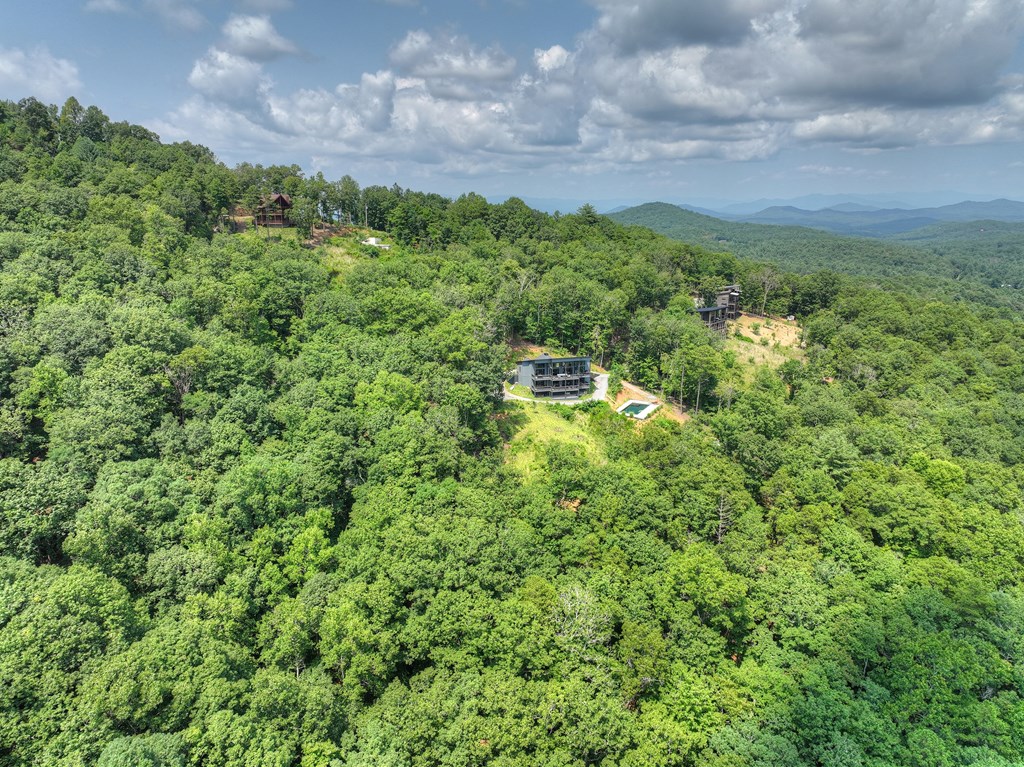 100 Boundless Trail Property Photo 68
