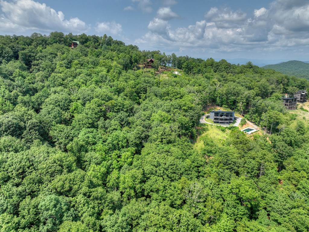 100 Boundless Trail Property Photo 69