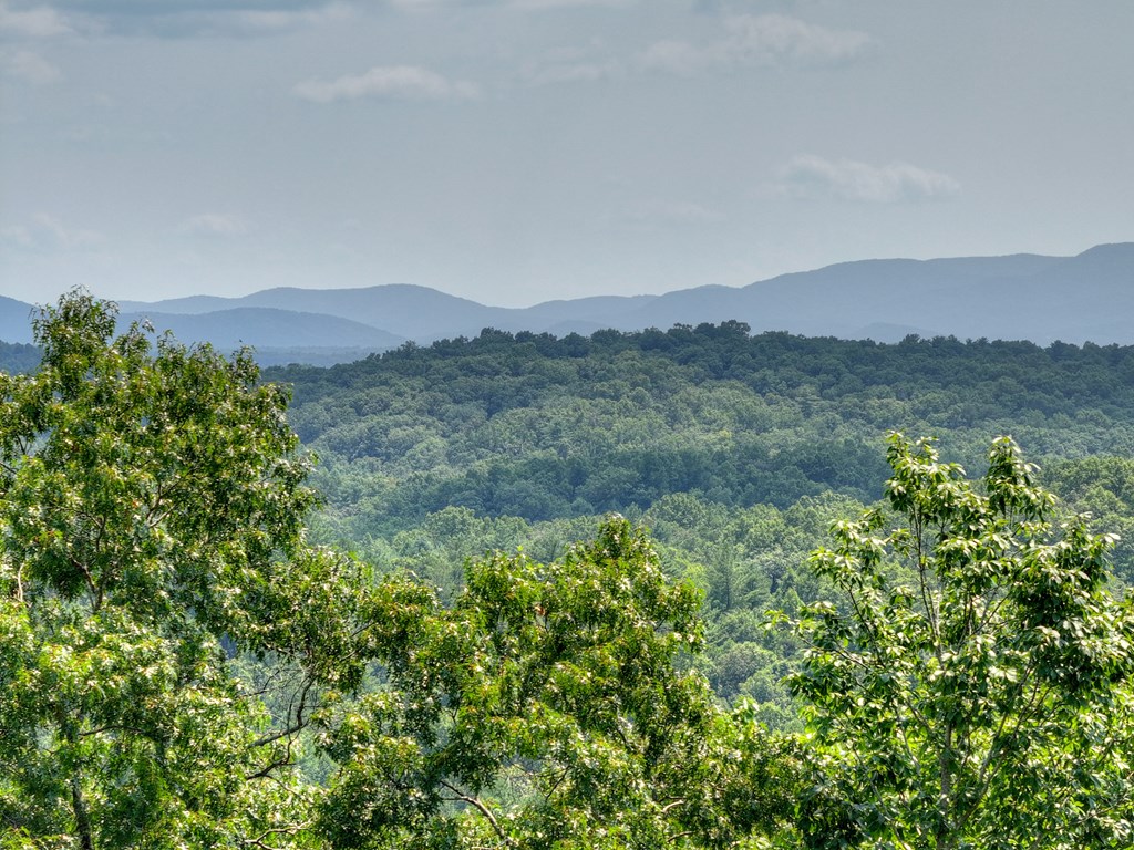 100 Boundless Trail Property Photo 71