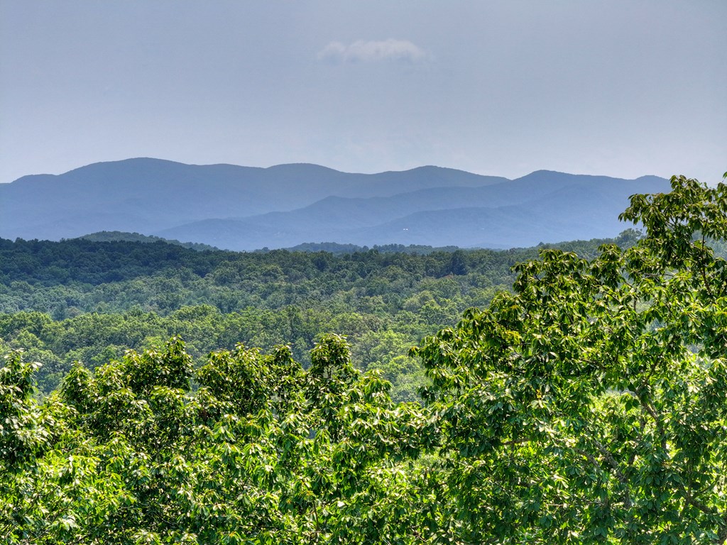 100 Boundless Trail Property Photo 72