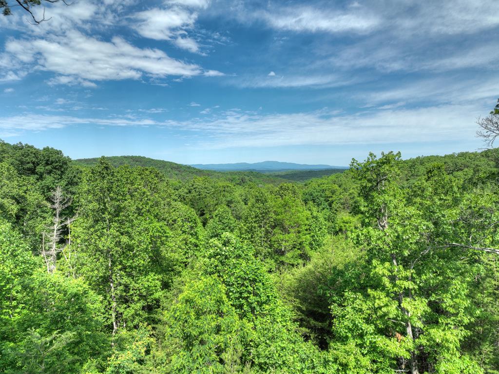 54 Channing Hollow Property Photo 39