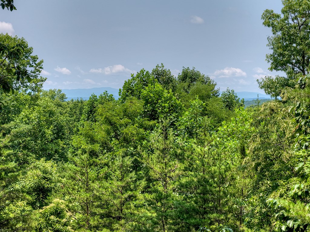 54 Channing Hollow Property Photo 41