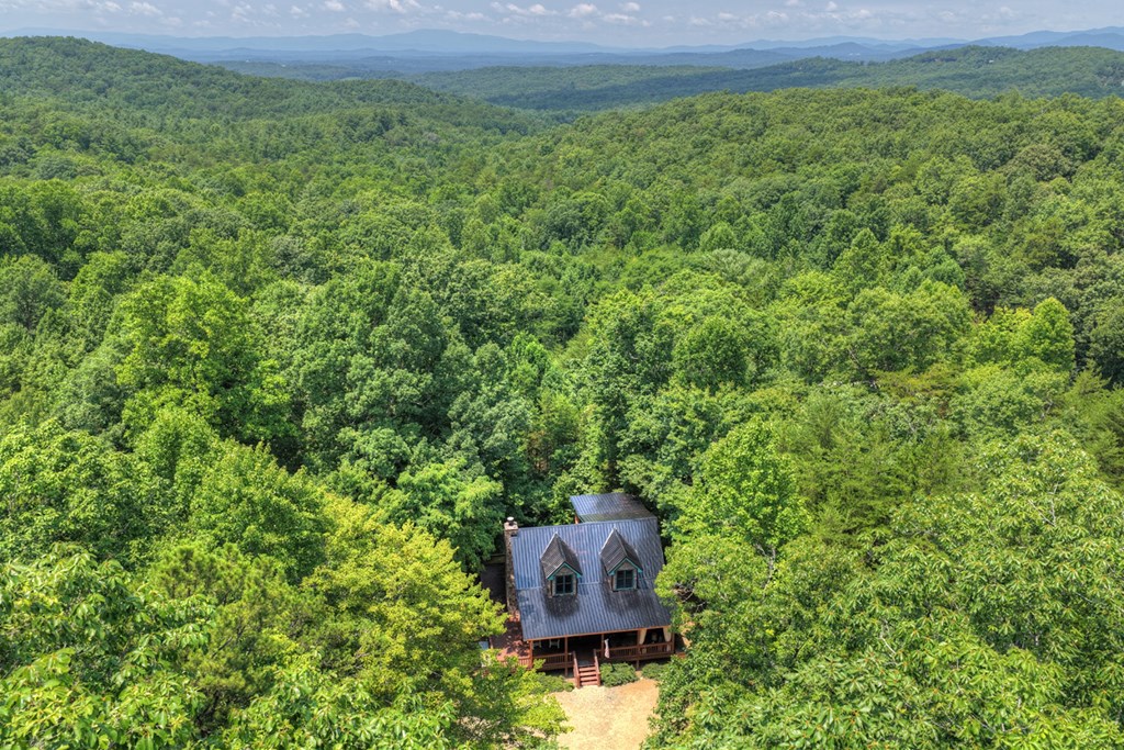 54 Channing Hollow Property Photo 48