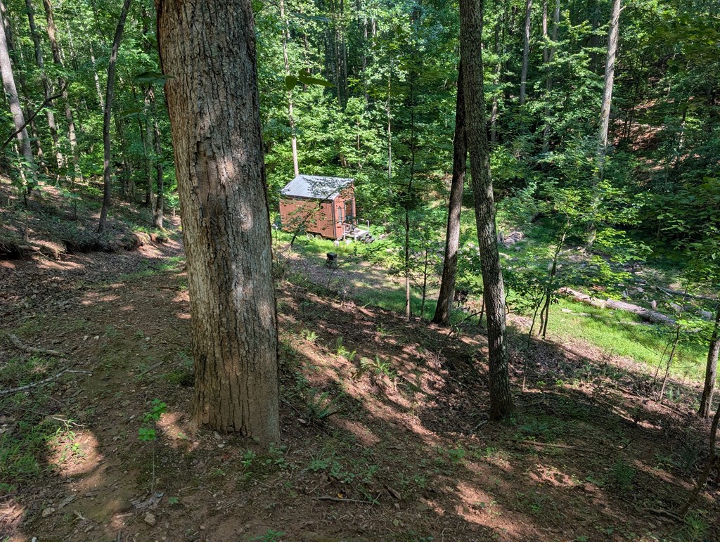 200 Cross Creek Trail Property Photo 18