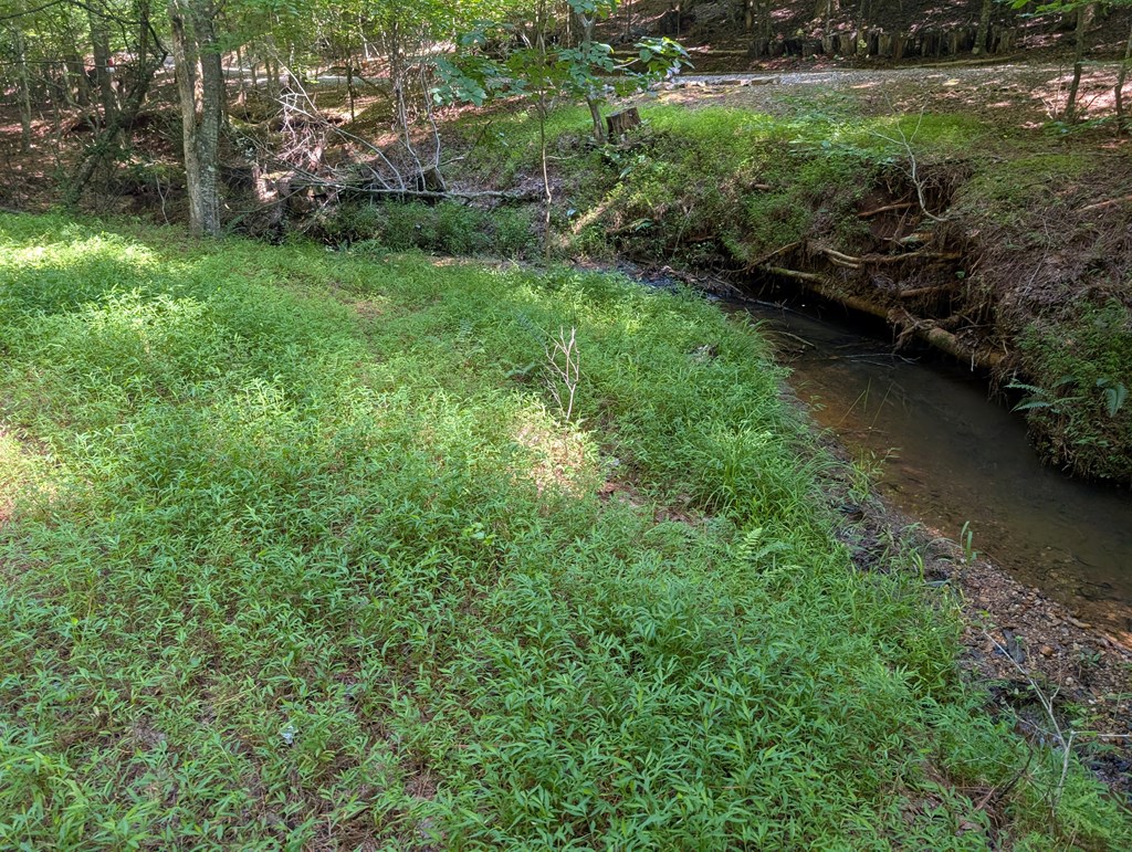 200 Cross Creek Trail Property Photo 19