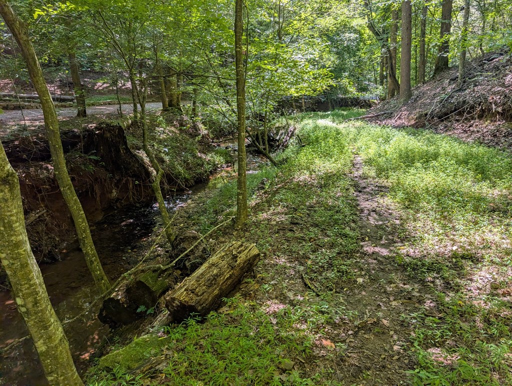 200 Cross Creek Trail Property Photo 20