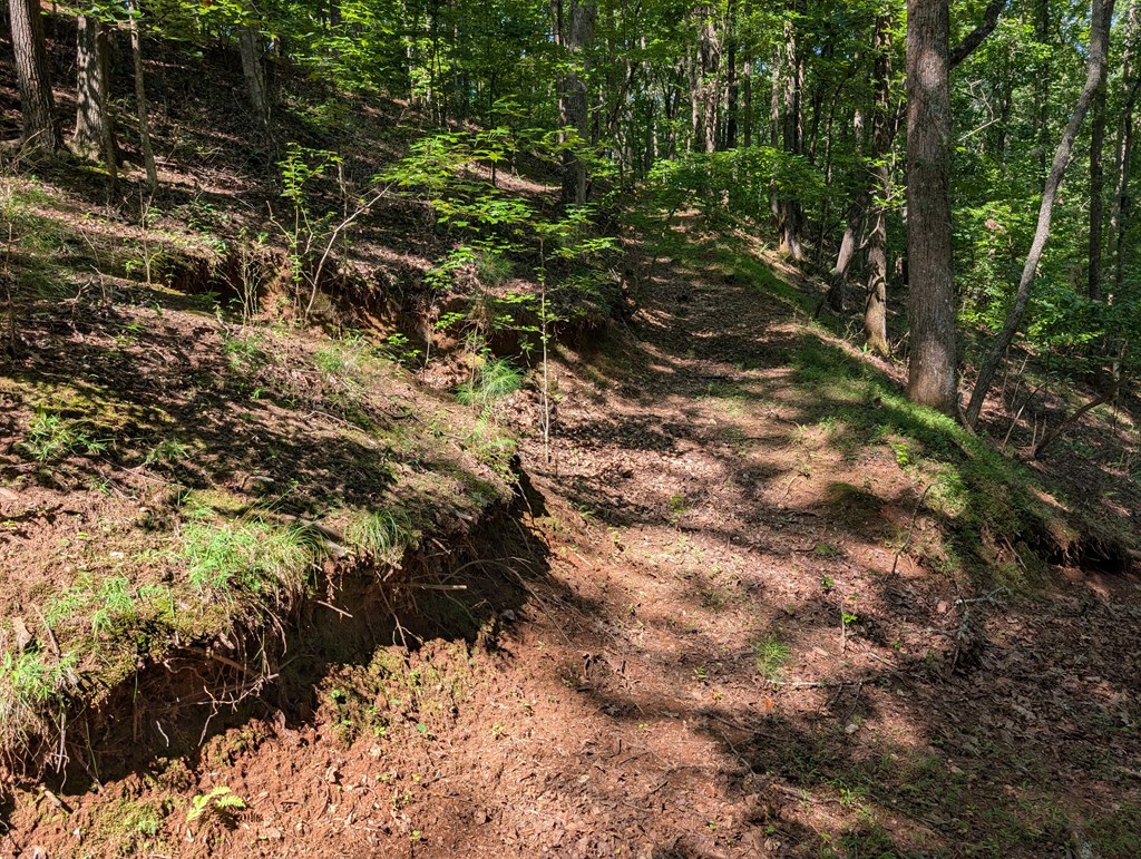 200 Cross Creek Trail Property Photo 22