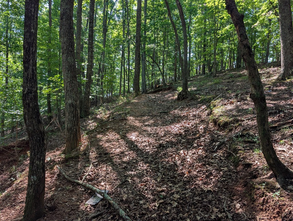200 Cross Creek Trail Property Photo 23