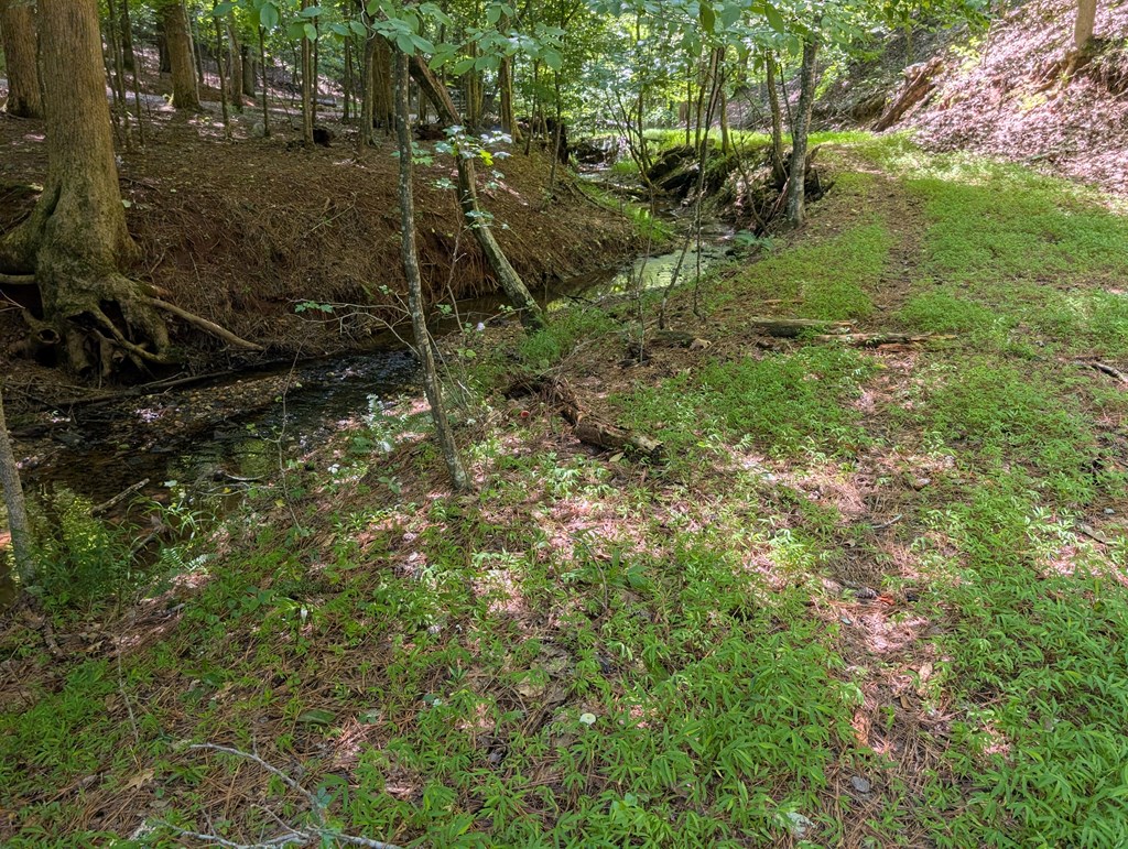 200 Cross Creek Trail Property Photo 25