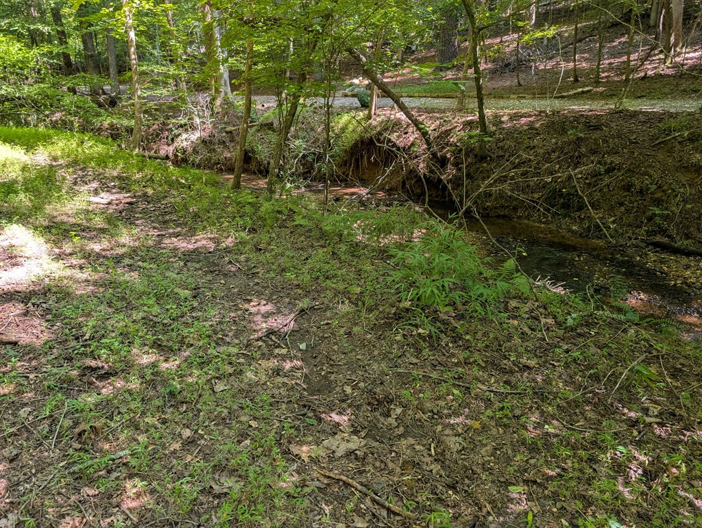 200 Cross Creek Trail Property Photo 26
