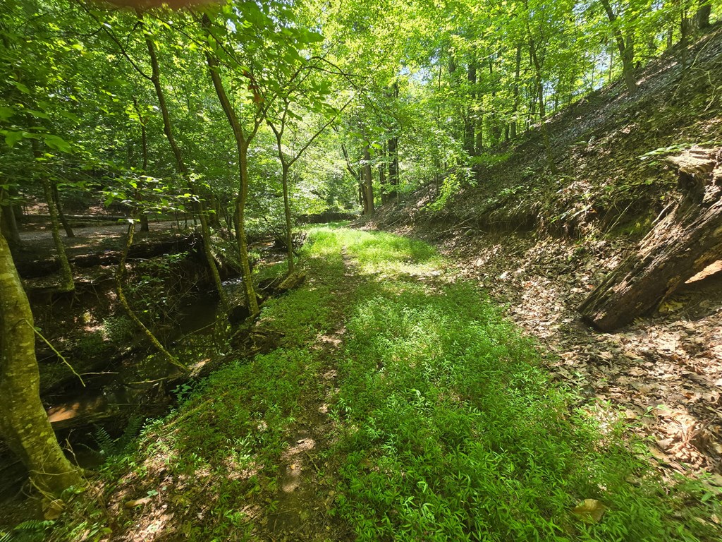 200 Cross Creek Trail Property Photo 27