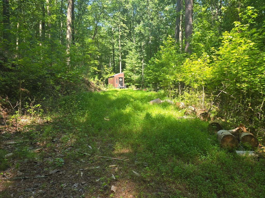 200 Cross Creek Trail Property Photo 28