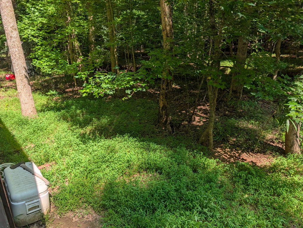 200 Cross Creek Trail Property Photo 29