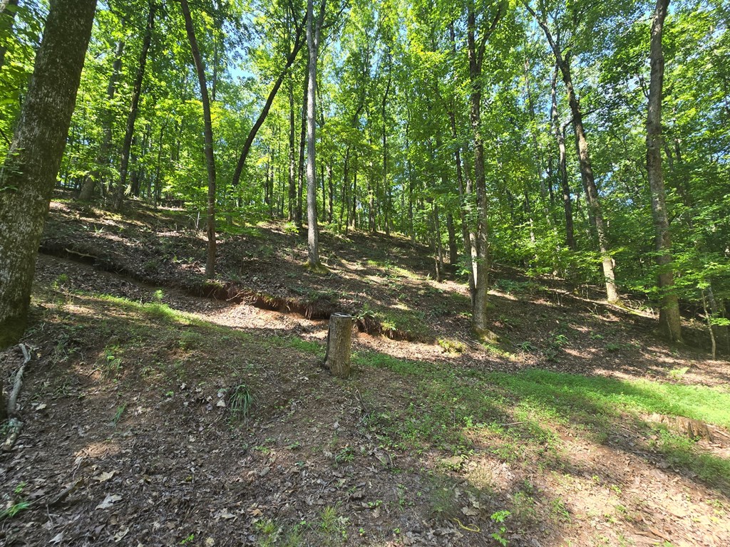 200 Cross Creek Trail Property Photo 31