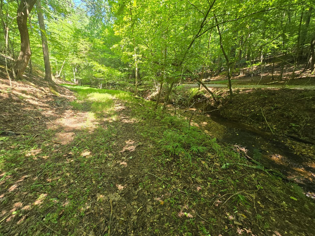 200 Cross Creek Trail Property Photo 32