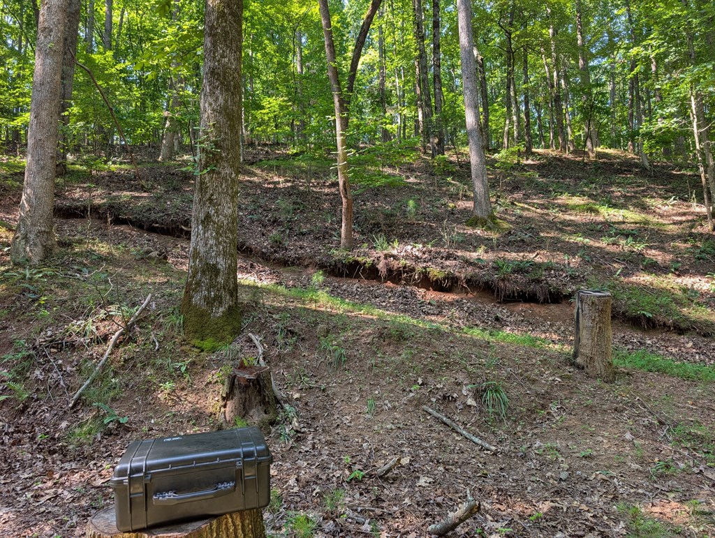 200 Cross Creek Trail Property Photo 34