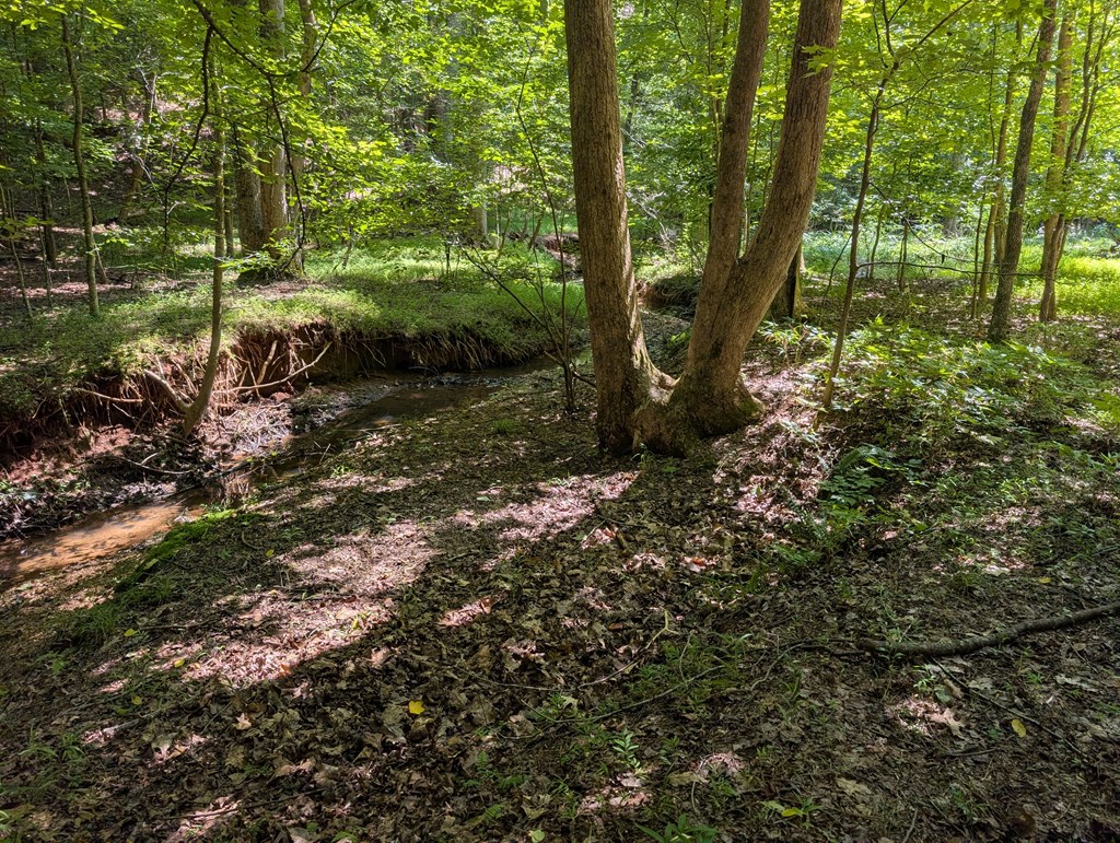 200 Cross Creek Trail Property Photo 35