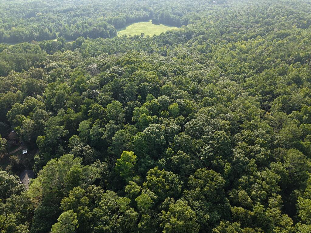 200 Cross Creek Trail Property Photo 39
