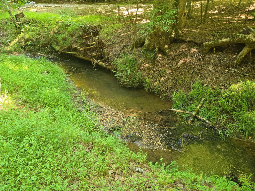 200 Cross Creek Trail Property Photo 41
