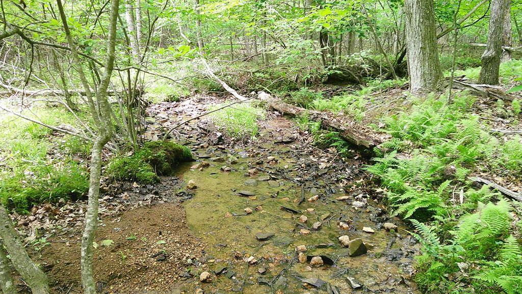 00 Tracks Hollow Property Photo 1