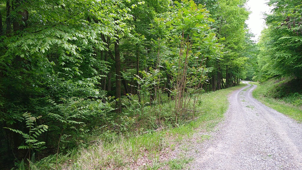 00 Tracks Hollow Property Photo 5