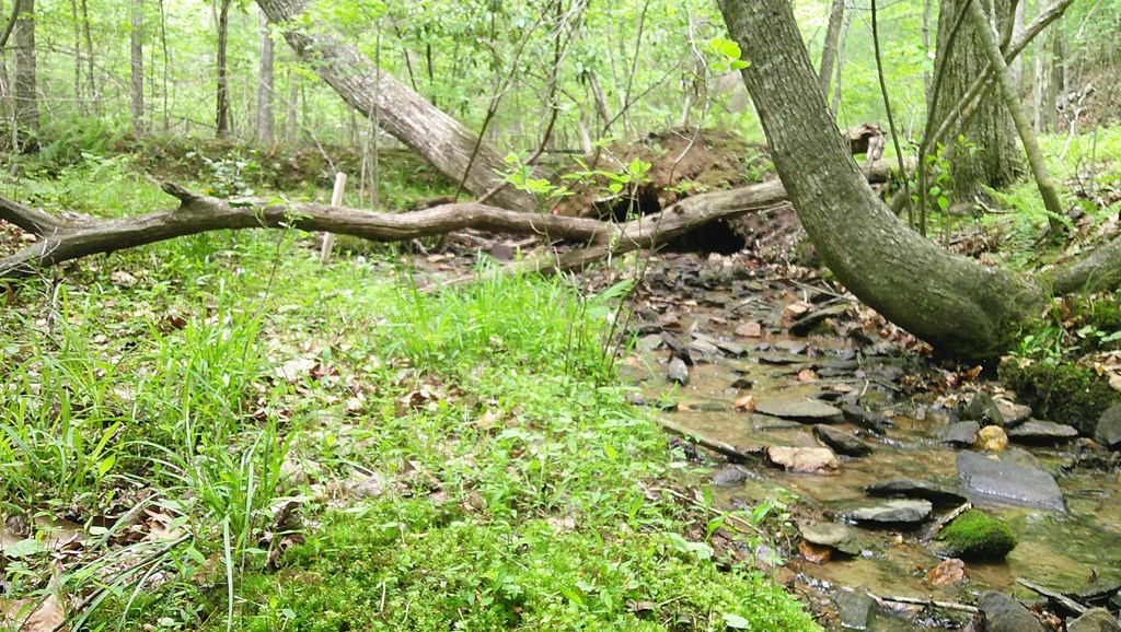 00 Tracks Hollow Property Photo 6