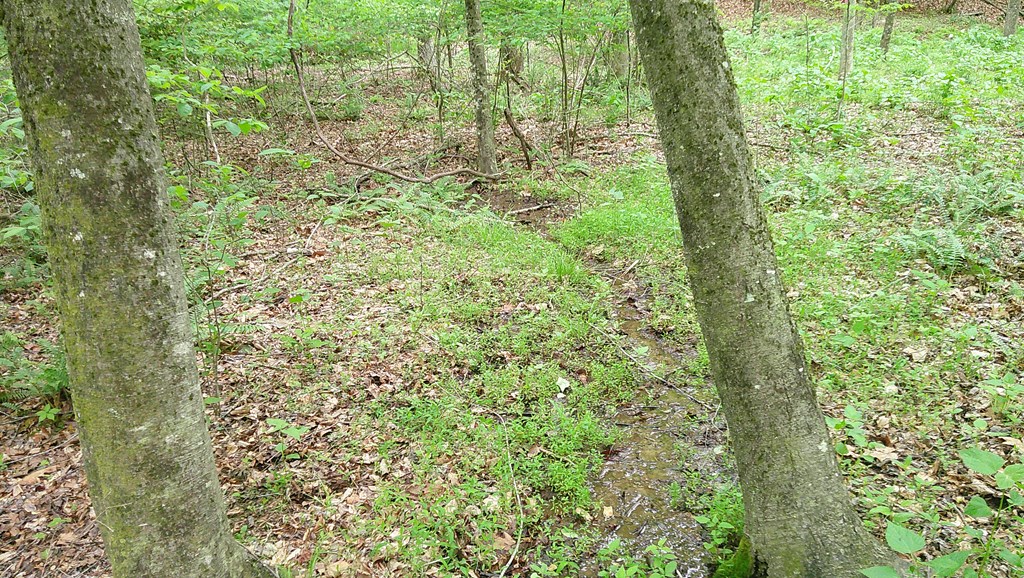 00 Tracks Hollow Property Photo 11