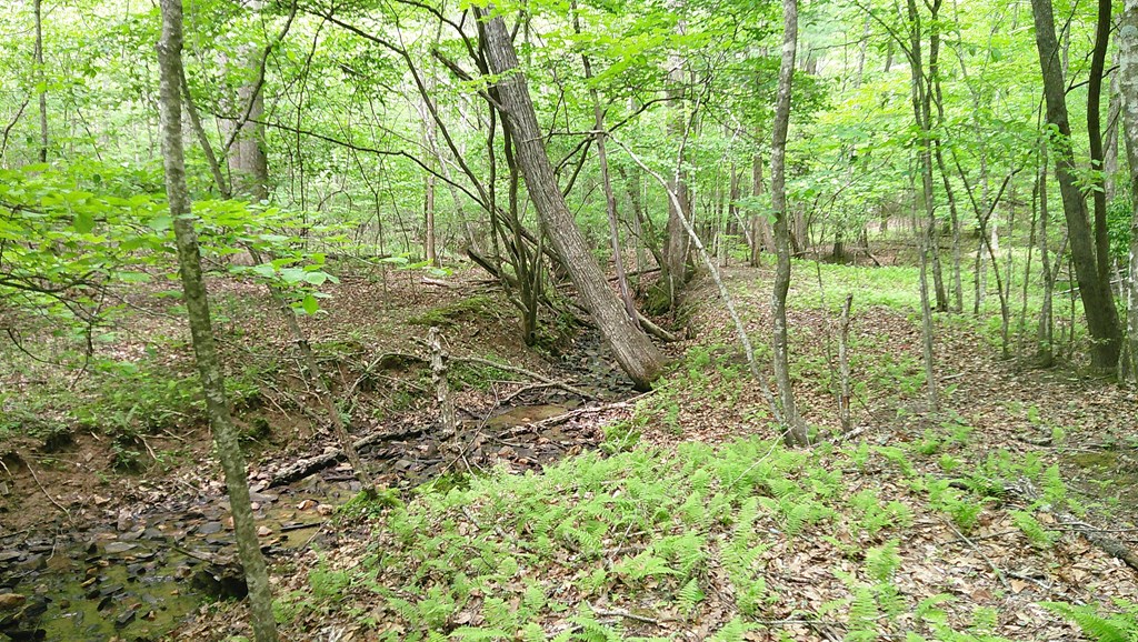 00 Tracks Hollow Property Photo 13
