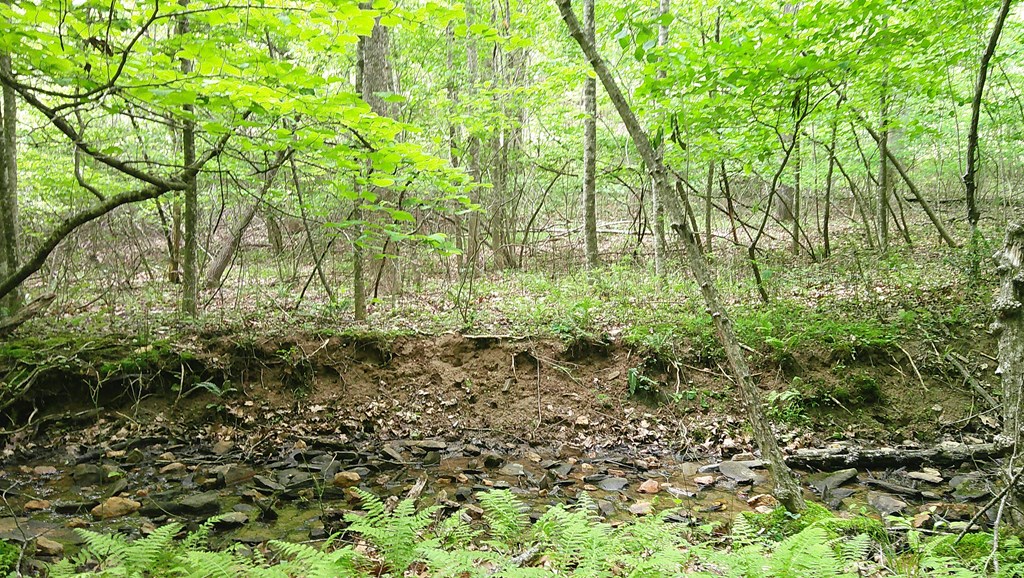 00 Tracks Hollow Property Photo 15