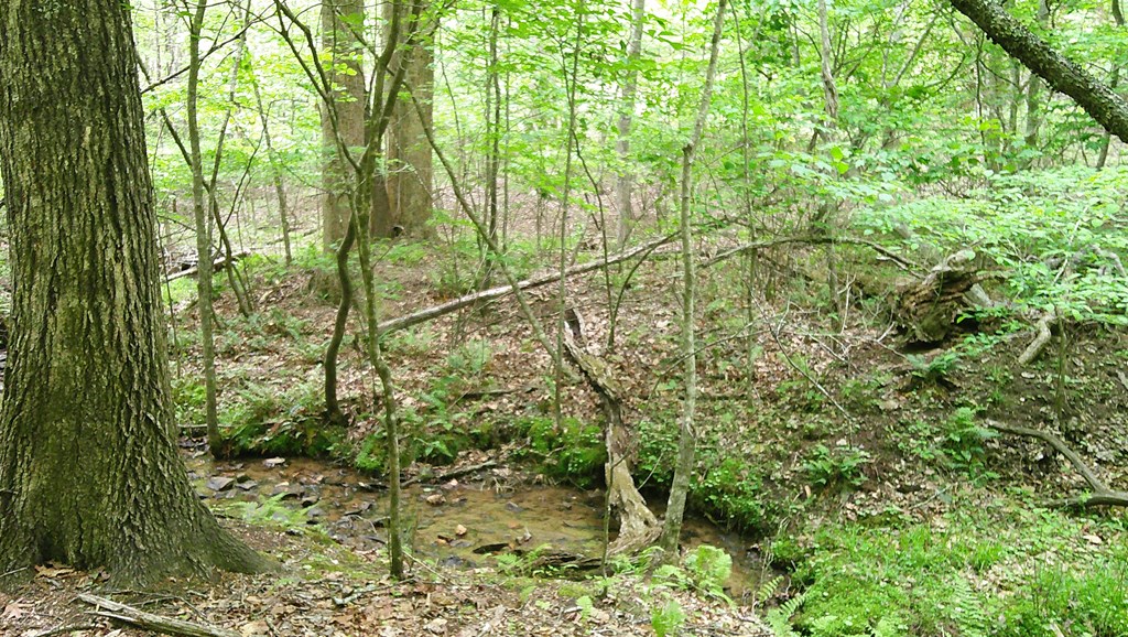00 Tracks Hollow Property Photo 16