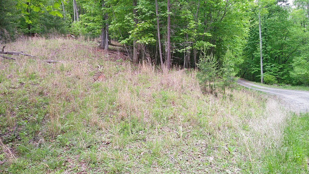 00 Tracks Hollow Property Photo 22