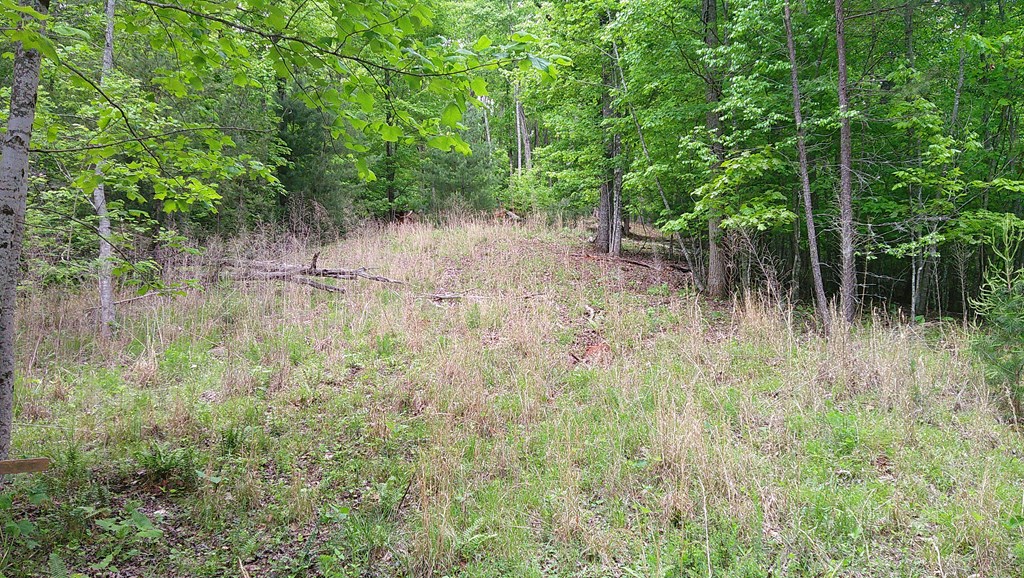 00 Tracks Hollow Property Photo 23