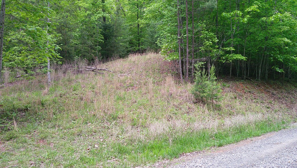 00 Tracks Hollow Property Photo 24
