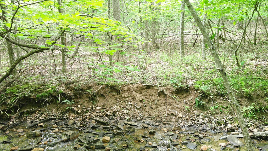 00 Tracks Hollow Property Photo 26