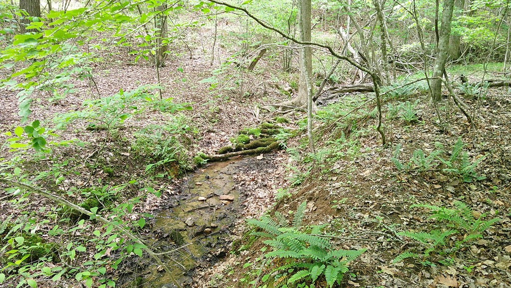 00 Tracks Hollow Property Photo 27