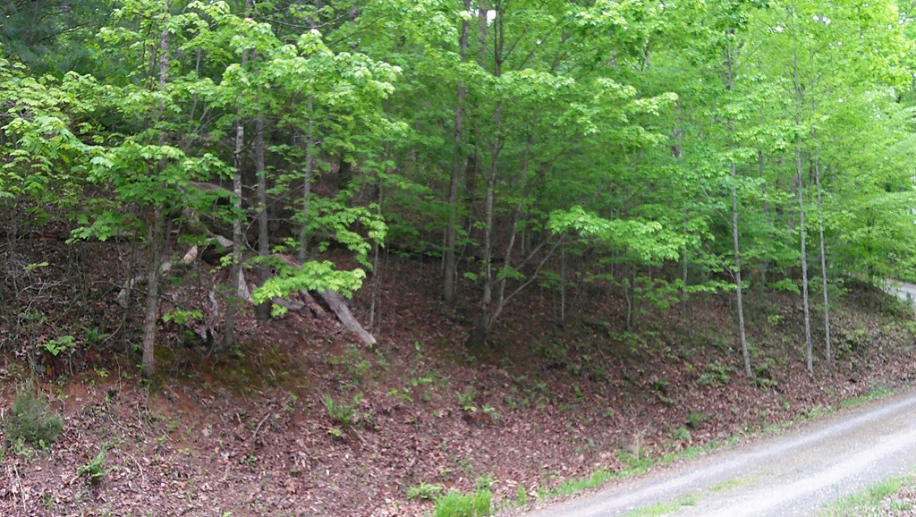 00 Tracks Hollow Property Photo 30