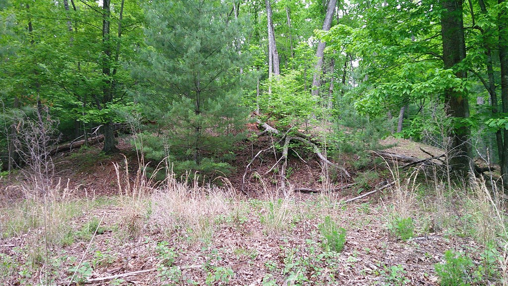 00 Tracks Hollow Property Photo 31