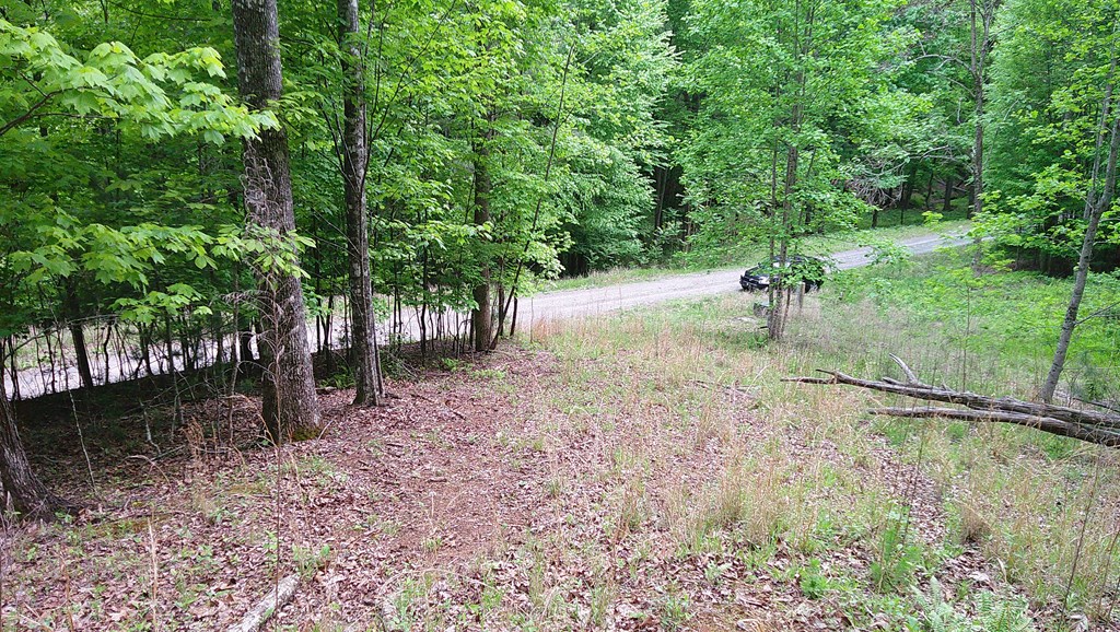 00 Tracks Hollow Property Photo 32