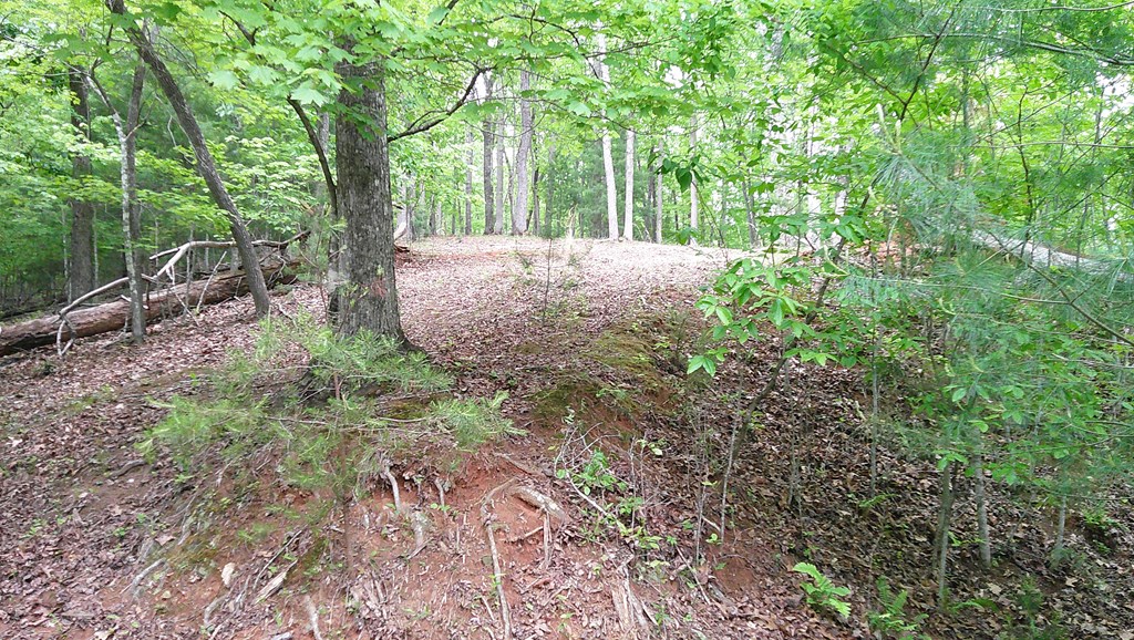 00 Tracks Hollow Property Photo 33