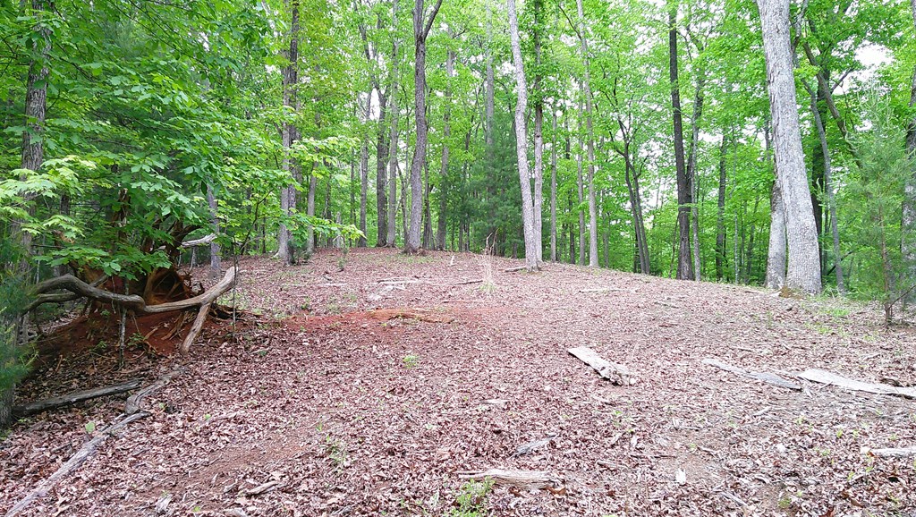00 Tracks Hollow Property Photo 34