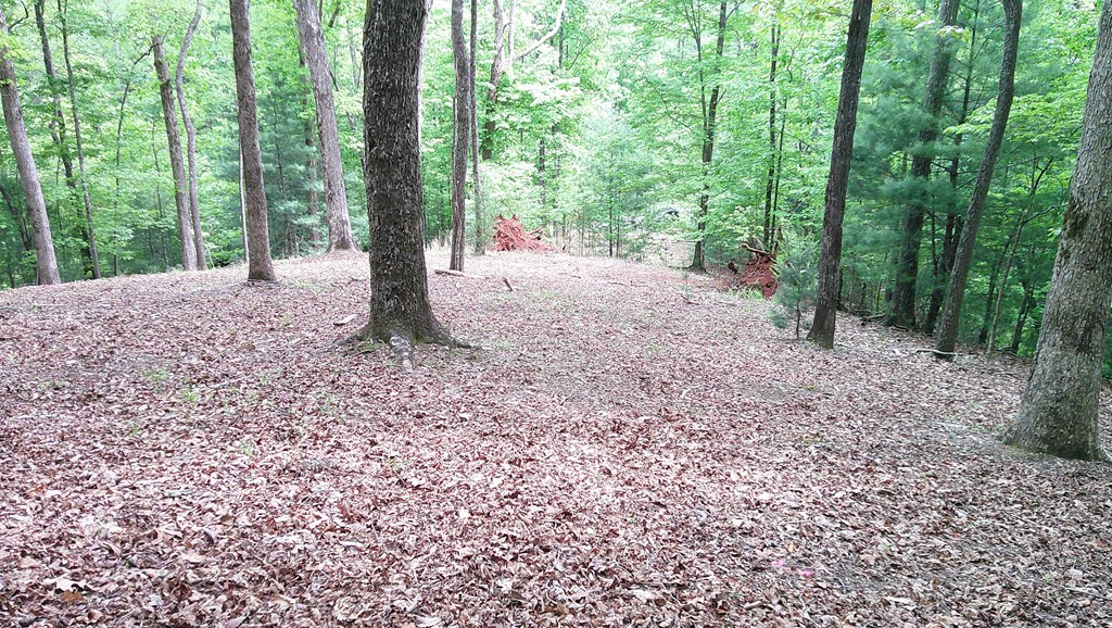00 Tracks Hollow Property Photo 35