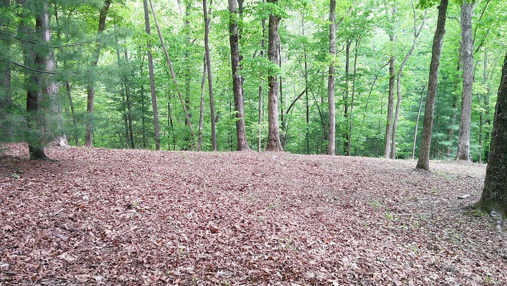 00 Tracks Hollow Property Photo 36